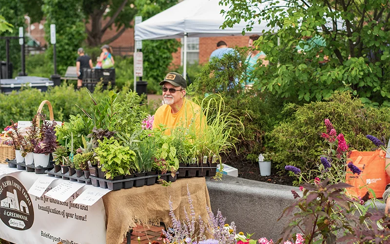 Fall beckons with morning forecast for Sept. 9 Farmers Market