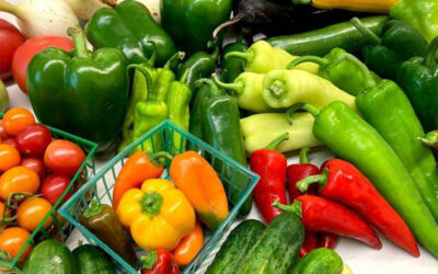 Produce peak season continues at the Saturday Farmers Market!