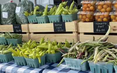 Delicious fresh produce, baked goods and vendor fare at the Market July 20