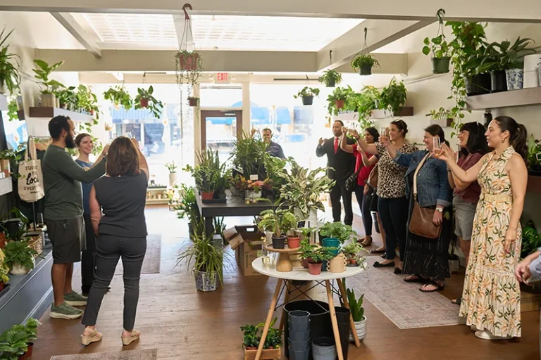 champagn toast 768x512