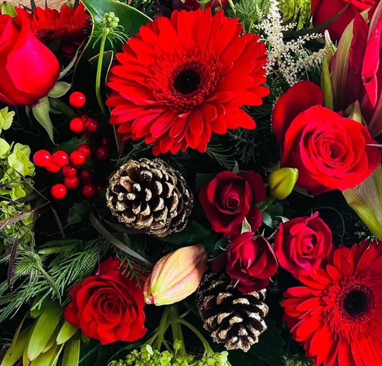 red and pinecones 768x736