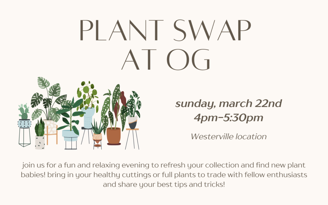 Plant Swap at Over Grown